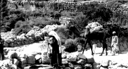 لو ينطق الحجر والشجر الجزء الثاني